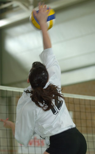 c_OZE_0385